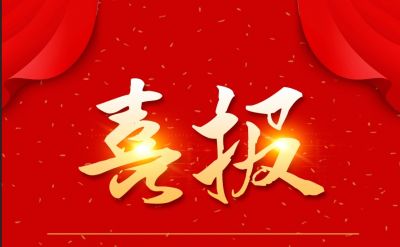 新年新喜报，918博天堂医药下属山东918博天堂药业喜获三项荣誉