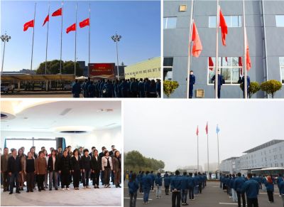 行稳致远 坚守初心—918博天堂医药28周年升旗及宣誓活动